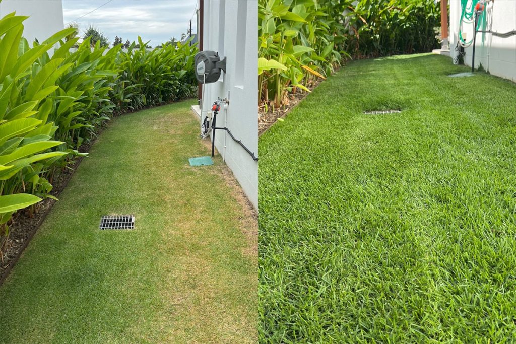 Lawn Care Image 1